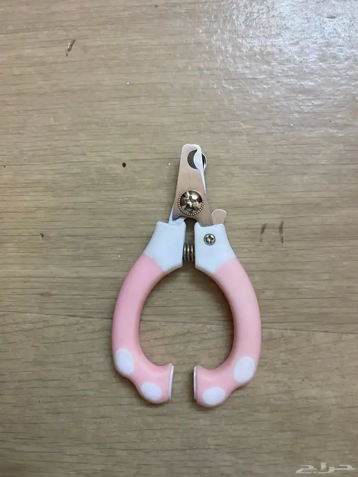 اغراض قطط 1