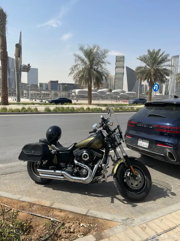 هارلي فات بوب fat bob 1