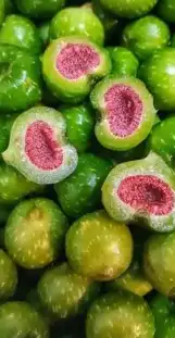 شتلات تين إندونيسيا وغيره نادر 0
