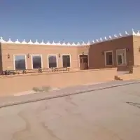 نخيل مثمرة 6