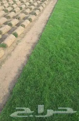 ثيل طبيعي درجه اولى شرط 2