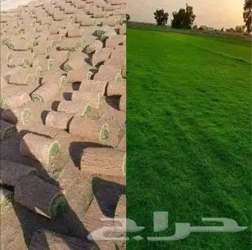 ثيل طبيعي درجه اولى شرط 1