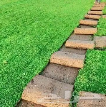 ثيل طبيعي درجه اولى شرط 6
