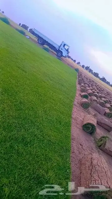 ثيل طبيعي درجه اولى شرط 7