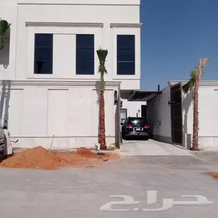 واشنطونيا زينه امريكي 3