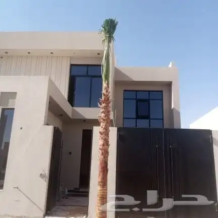 واشنطونيا زينه امريكي 8