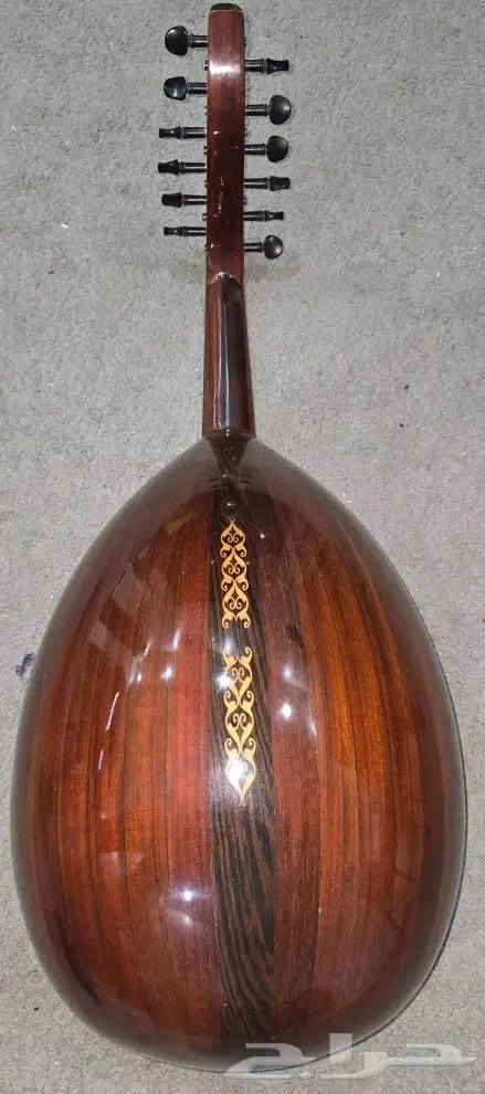 عود مصري 1