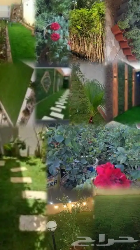 مشتل ابوعبدالله 4