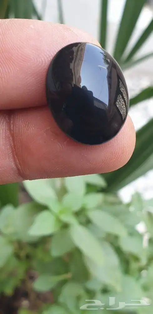 شفة عبد يماني 1