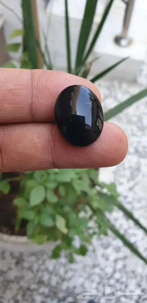 شفة عبد يماني 0