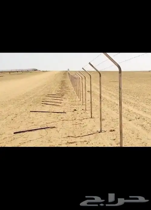 نعمل في تركيب اشبوك علا أنواعه وتوريد النخيل علا أنواعه 3