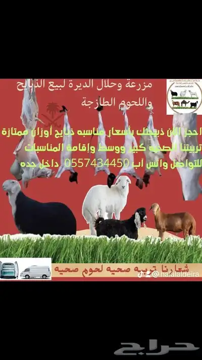 حلال الديرة لبيع جميع انواع المواشي و تموين وتجهيز المناسبات 0