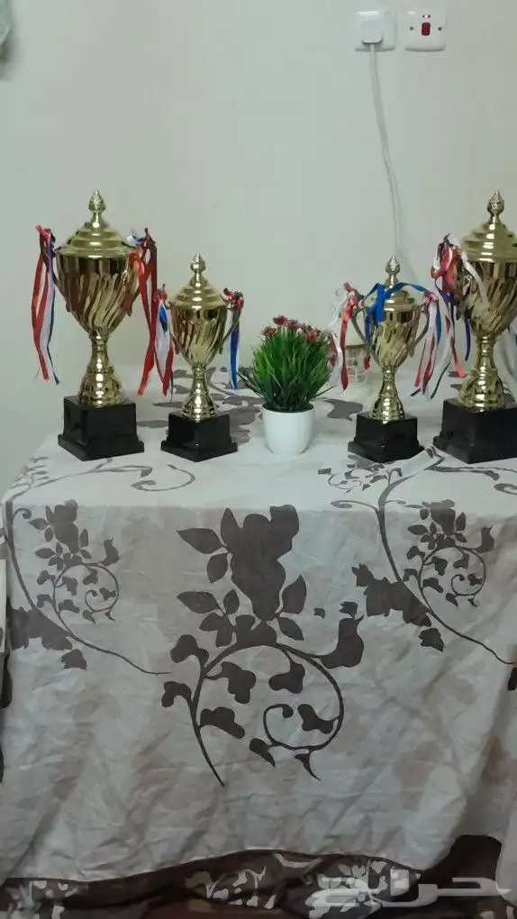 كؤوس رياضية جديدة بالكراتين 2