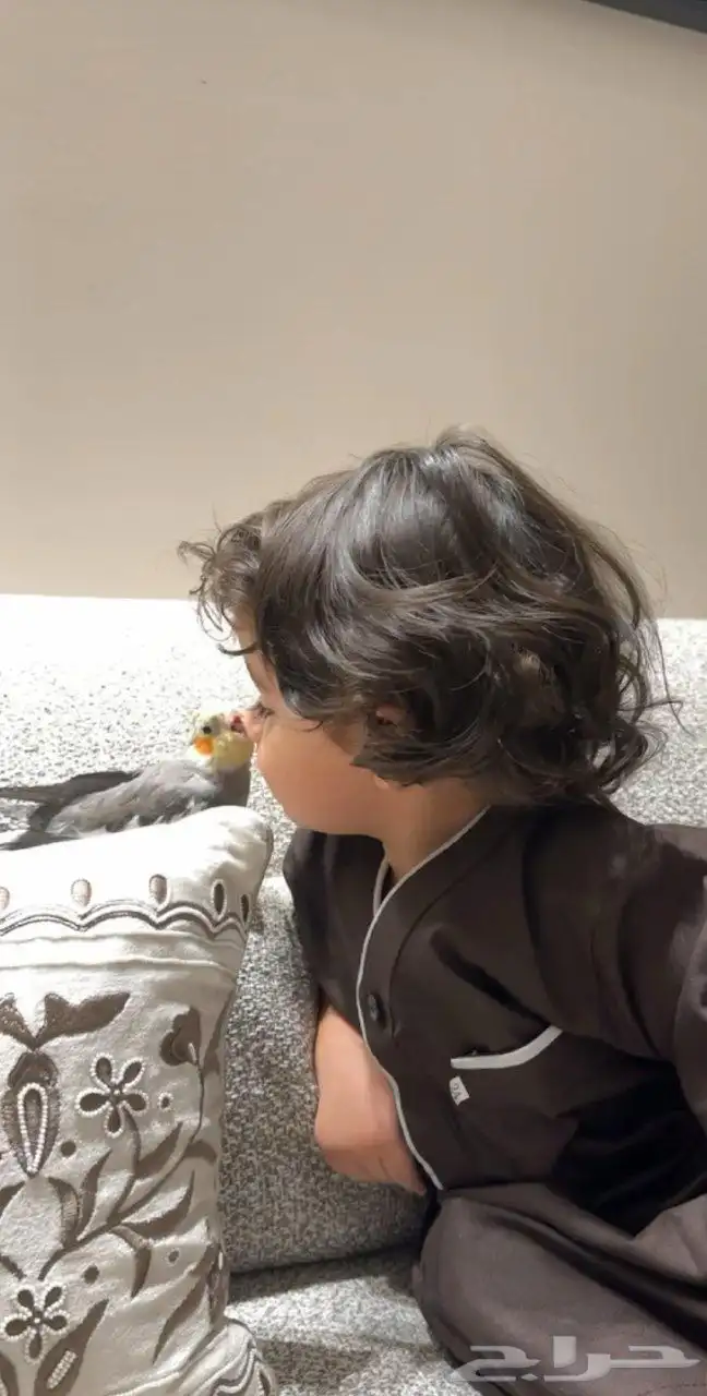 طيور ارانب سلاحف اسماك 13
