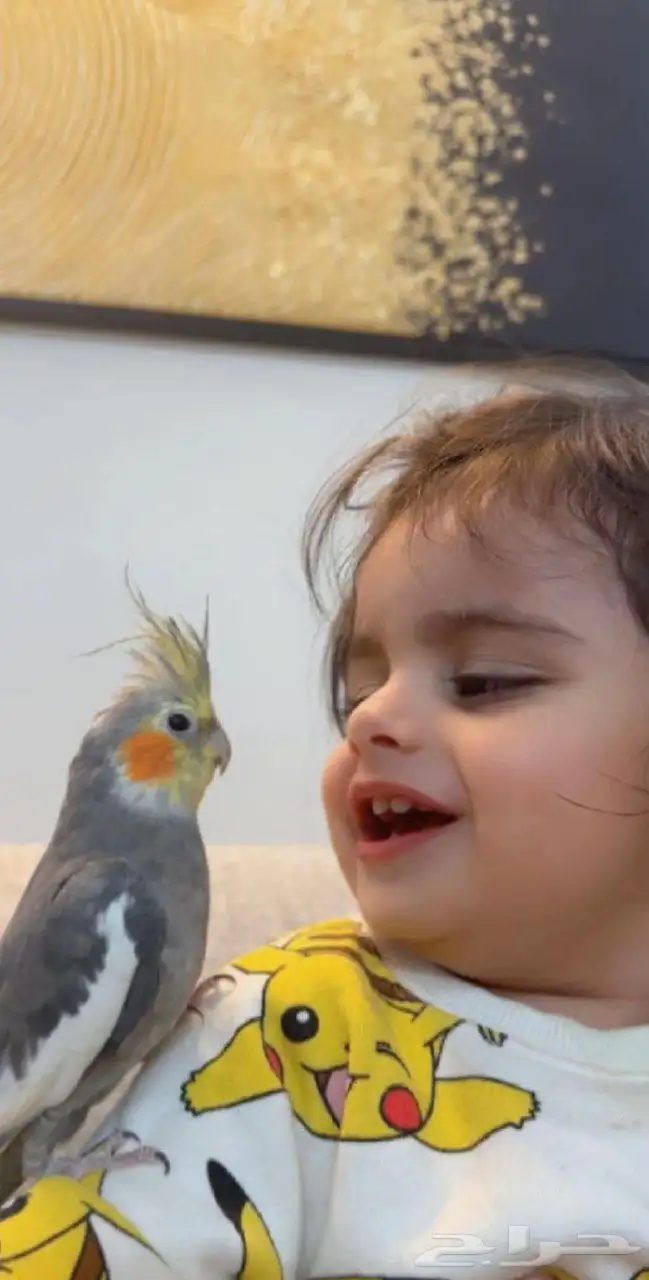 طيور ارانب سلاحف اسماك 2