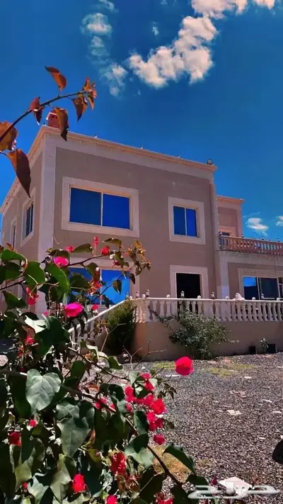 00شالية ومزرعة برستيج بتنومة ولا أروع00 14