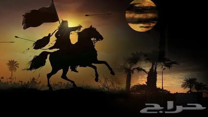 مصمم فيديوهات احترافي - ومصمم شيلات 3