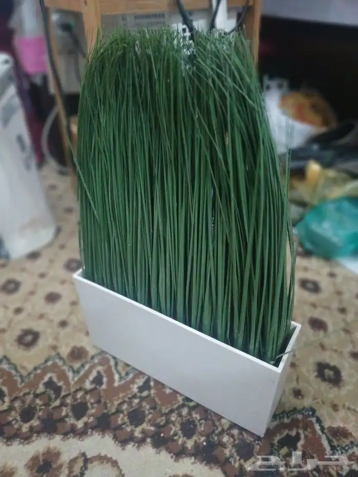 نبات صناعي 0