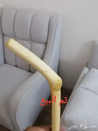 مشعاب شوحط للبيع ( تم البيع ) 9