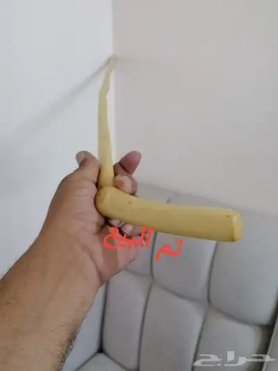 مشعاب شوحط للبيع ( تم البيع ) 1