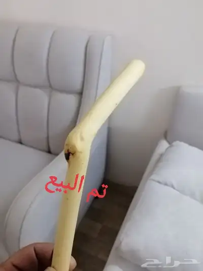 مشعاب شوحط للبيع ( تم البيع ) 7