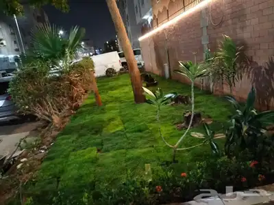 تنسيق حدائق زراع طبيعي تكريب نخيل 2