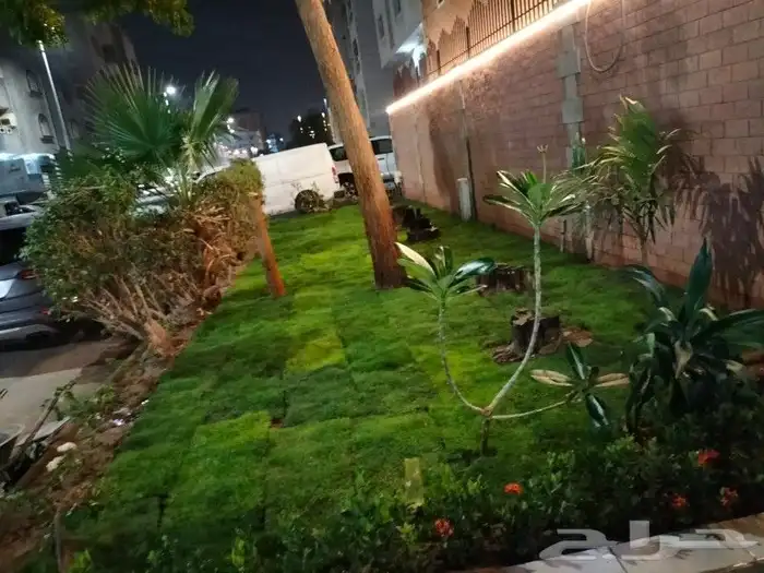 تنسيق حدائق زراع طبيعي تكريب نخيل 2