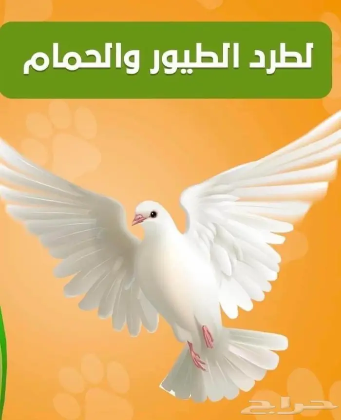 تركيب طارد حمام بجدة 0