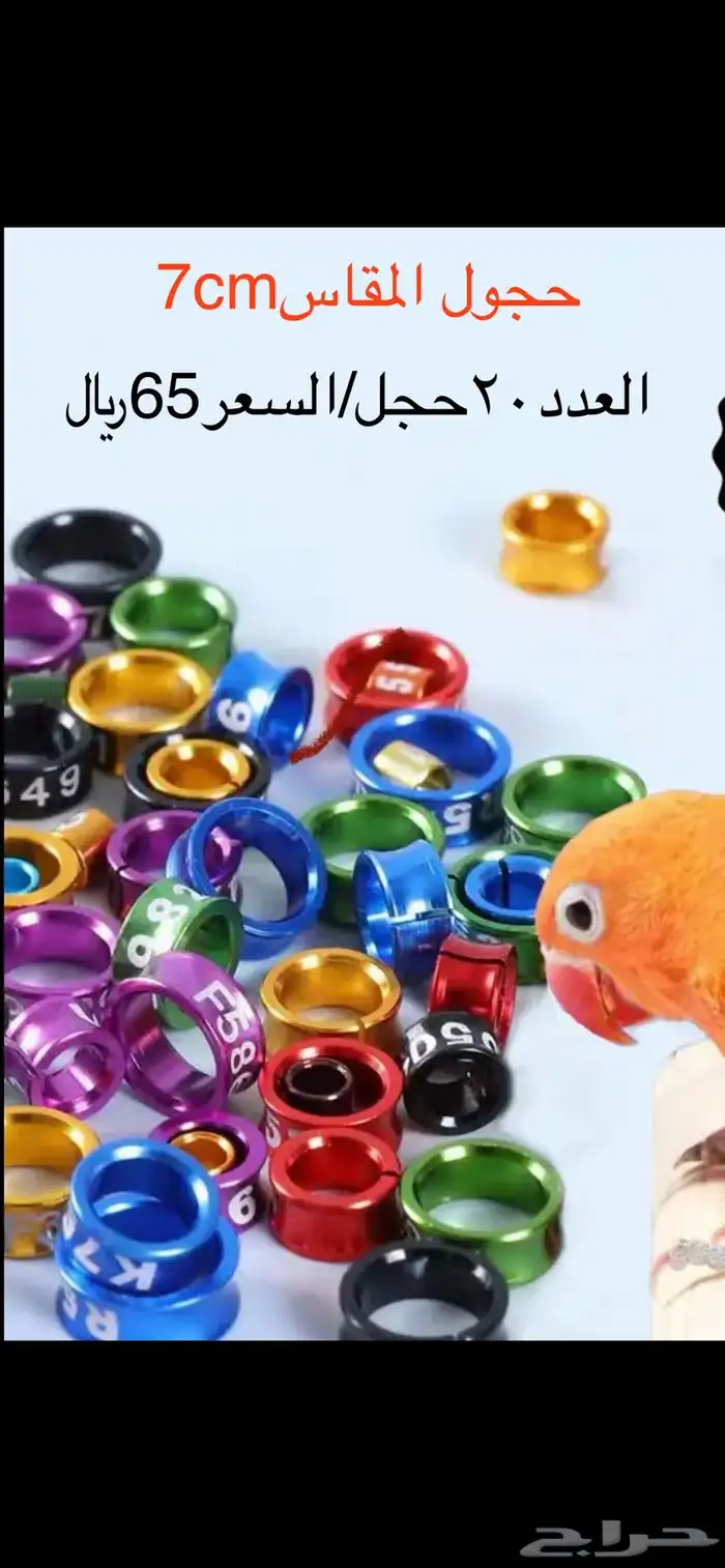 حجل للطيور 0
