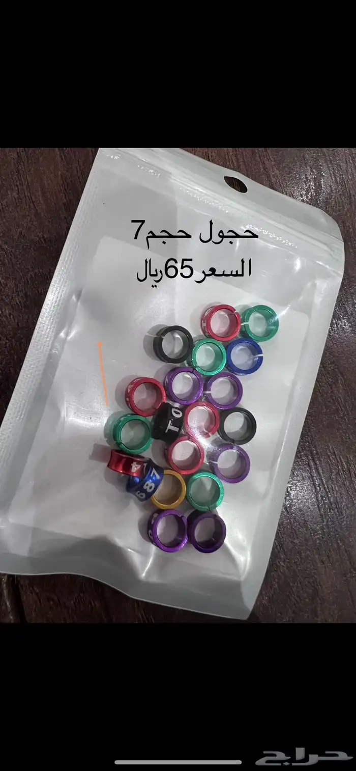 حجل للطيور 1