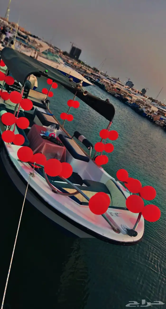تاجير يخوت وقوارب بحرية 16