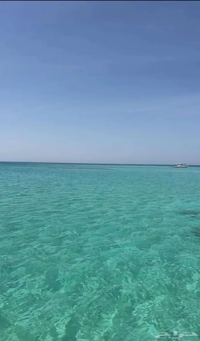رحلات بحرية لجزيرة بياضه 6