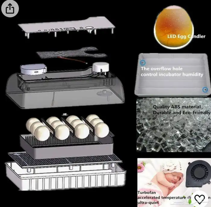 فقاسه للجميع انواع البيض 1