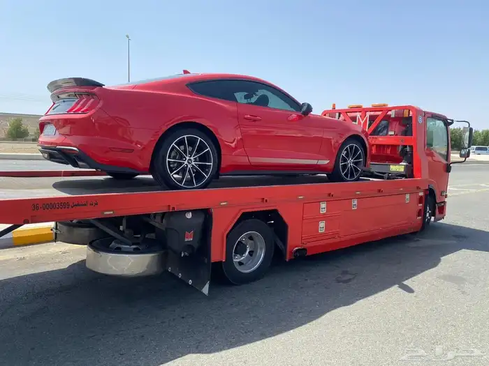 سطحة في الباحة 0