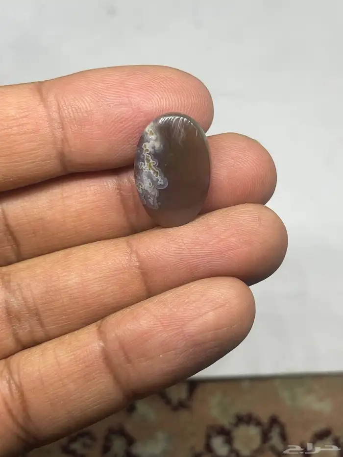 احجار خرساني ( ورود الربيع 24