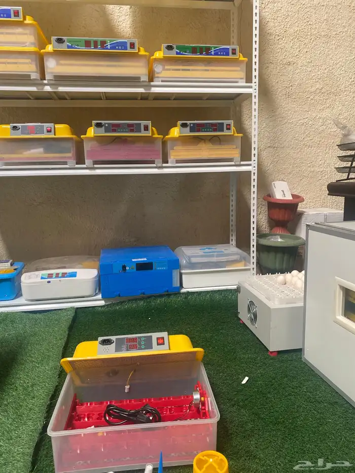 فقاسات جميع احجام رول وعادي مع ضمان وهدايا شحن مجاني 2