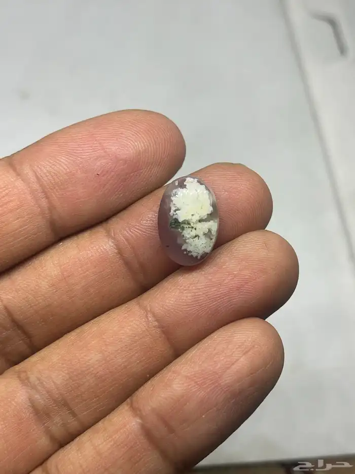 احجار خرساني ( ورود الربيع 31