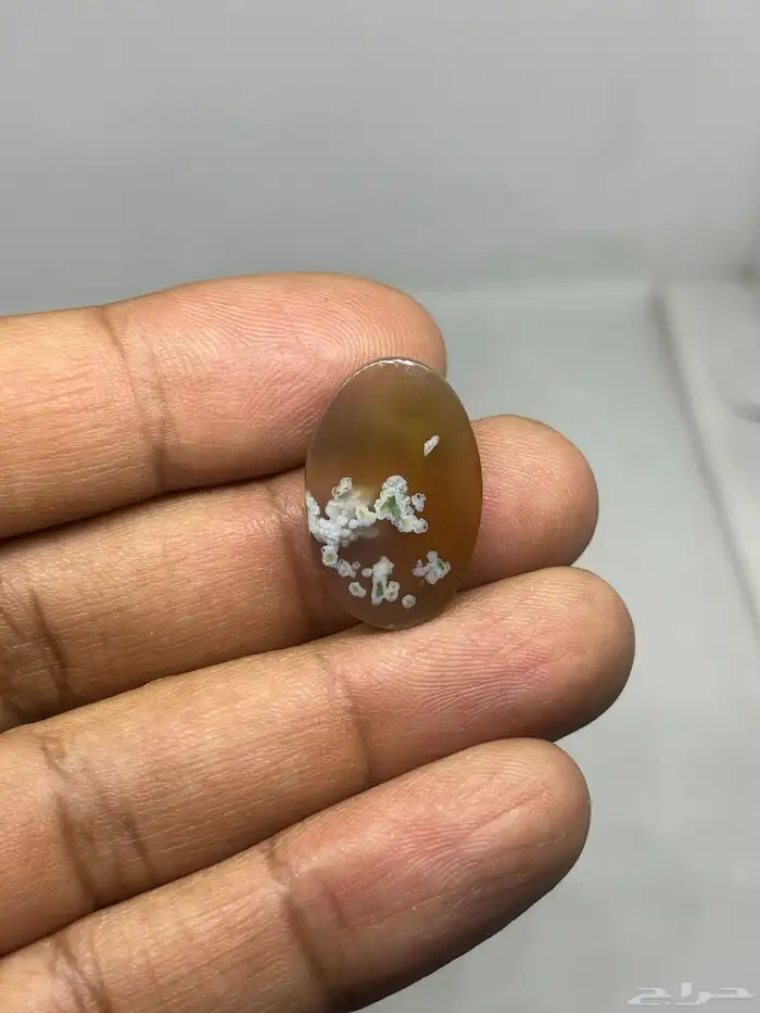 احجار خرساني ( ورود الربيع 14