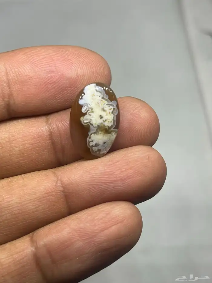 احجار خرساني ( ورود الربيع 17