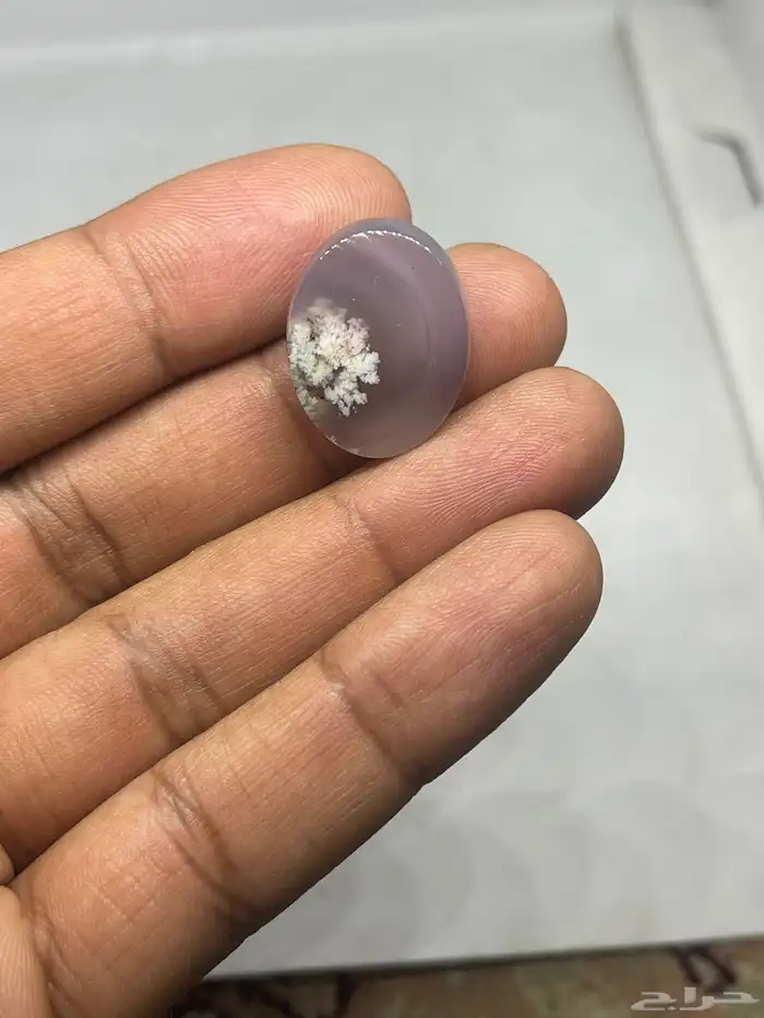 احجار خرساني ( ورود الربيع 6