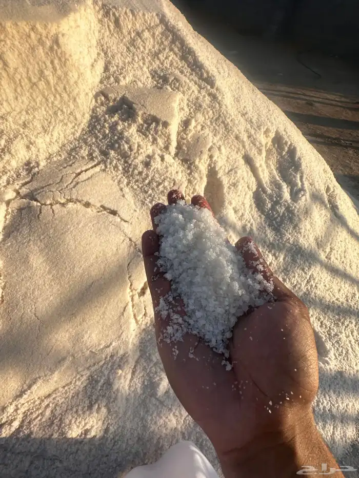 ملح القصب الصخري بسعر الجمله 0