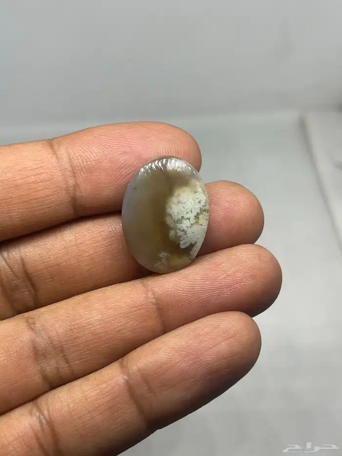 احجار خرساني ( ورود الربيع 4