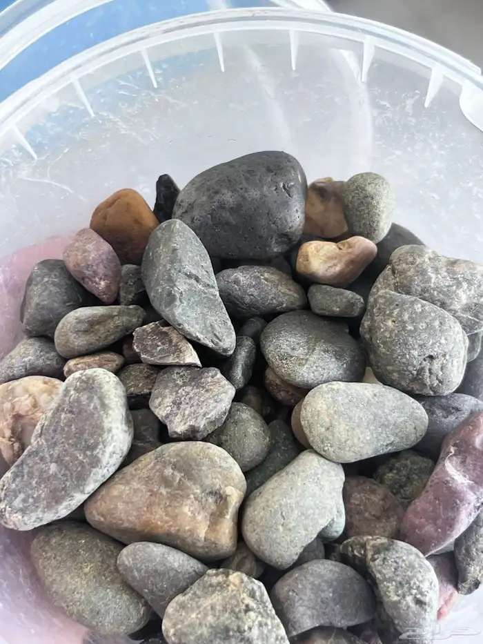 حجر الزينة (الأحجار النهرية River Stone) 0