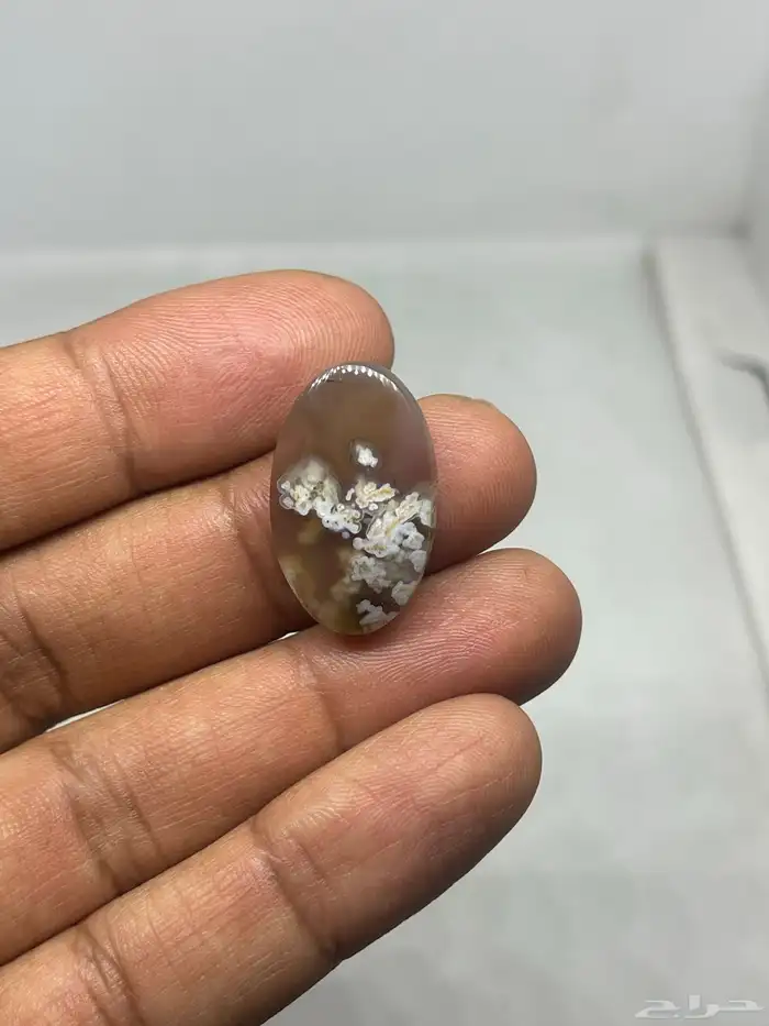 احجار خرساني ( ورود الربيع 3