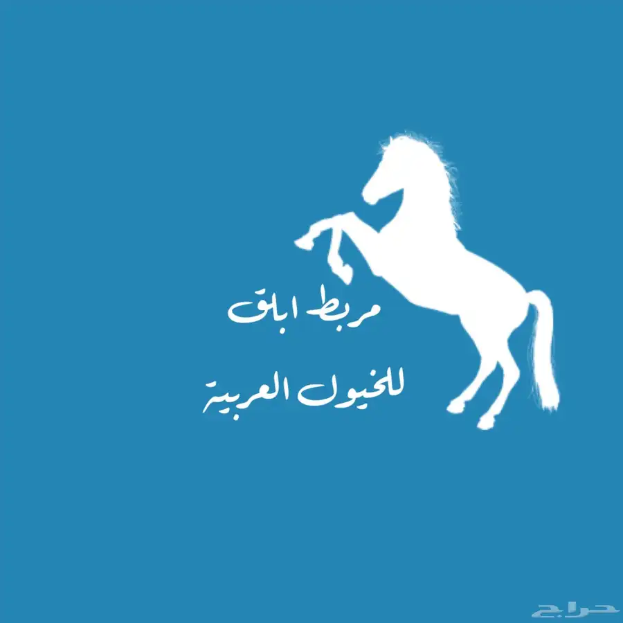 مربط ابلق 6