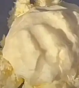 يوجد عندنا لبن وسمن حوامض وحياكم الله 5