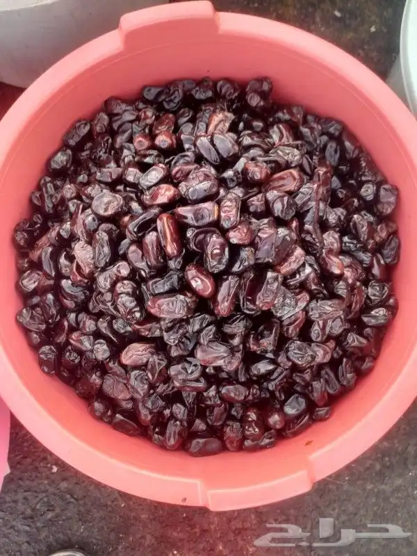 تمور حائل الفاخره 9