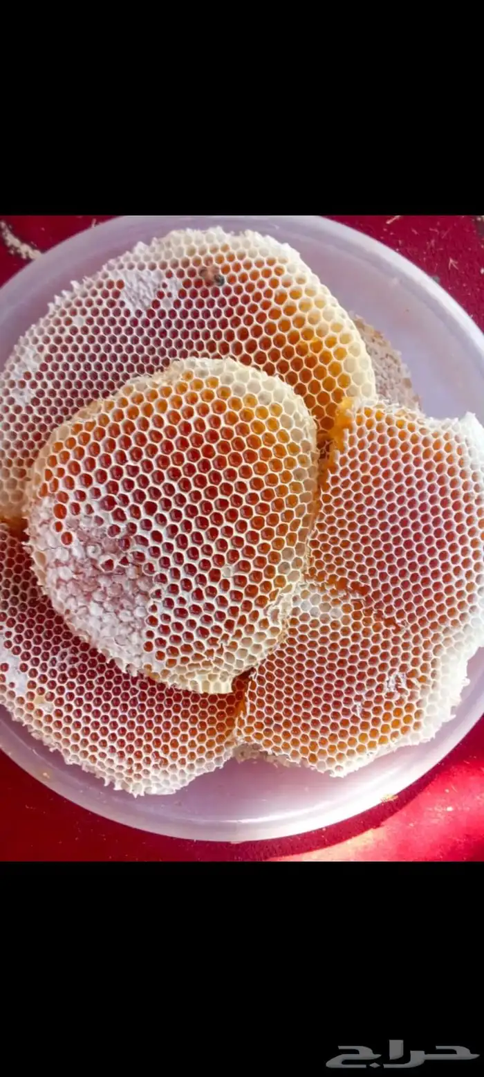 عسل سدر انتاج جديد 2