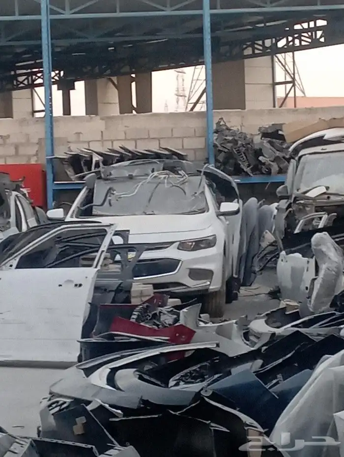 صدام ماليبو 2018وكاله 2