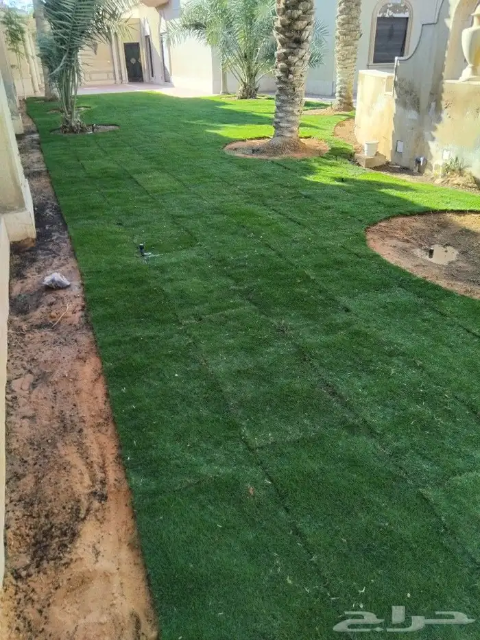 مشتل ابوياسر لزراعة الحديقه 6